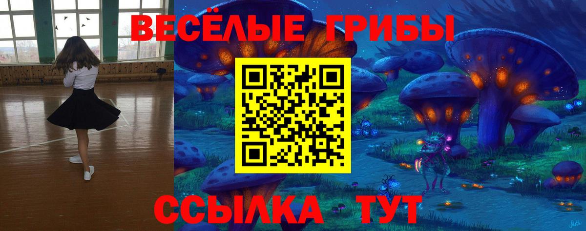 Псилоцибиновые грибы Magic Shrooms  Вход с VPN  Вятские Поляны 